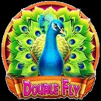 Double Fly