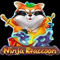 Ninja Raccoon