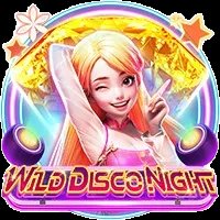 Wild Disco Night