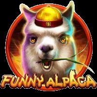Funny Alpaca
