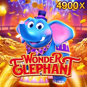 Wonder Elephant